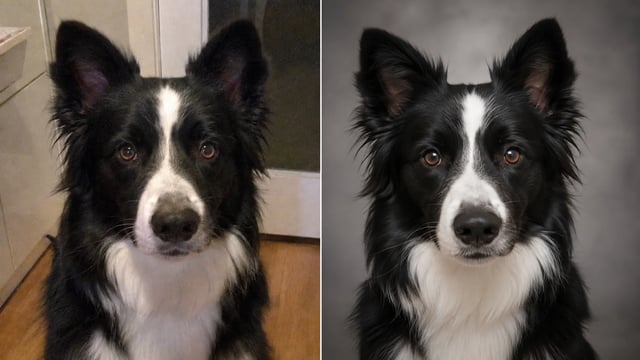 Before and after: phone pet photo on the left, clean downloadable studio pet portrait on the right