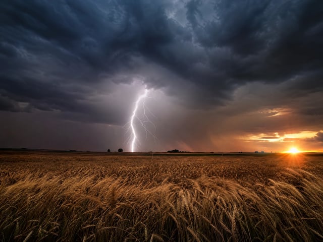 Cinematic thunderstorm over a wheat field, evoking picture and sound together
