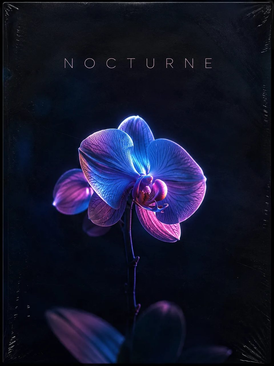 Premium dark indie album cover with neon orchid and NOCTURNE title